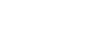 The Business Skipper Footer Logo